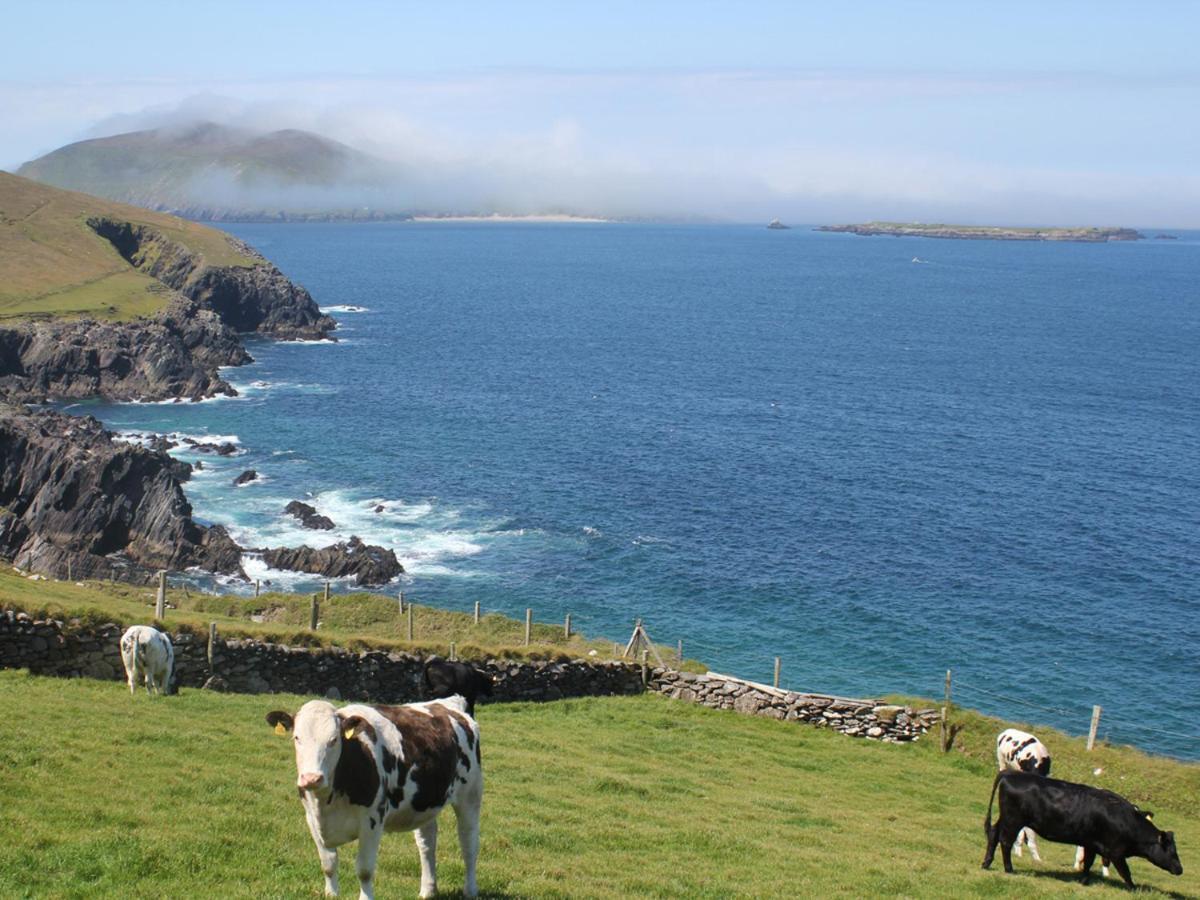 Cois Chnoic Holiday Home Dingle By Trident Holiday Homes Exterior foto